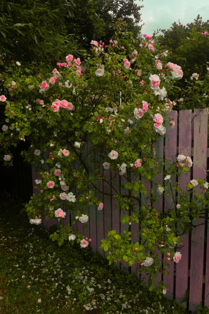 solutions pour réparer une clôture endommagée dans votre jardin