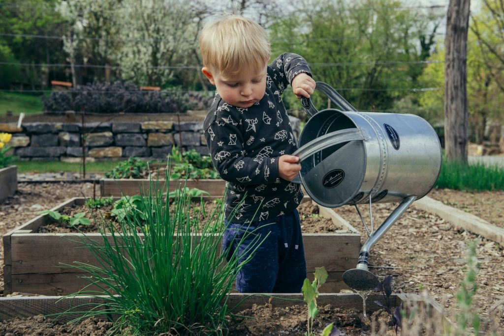 comment aménager un coin potager en utilisant des palettes en bois