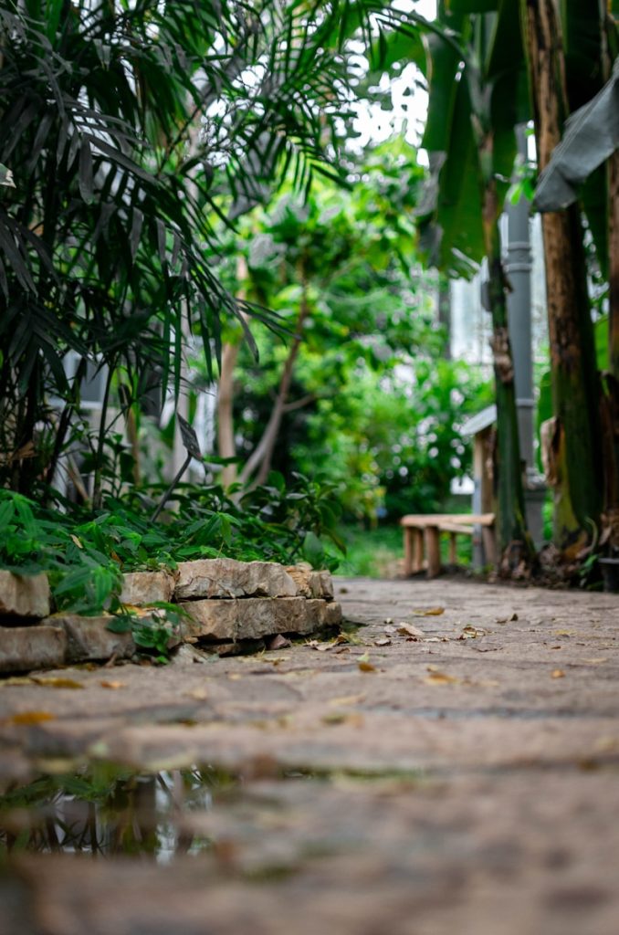 guide d'installation d'un système d'irrigation goutte à goutte pour le jardin