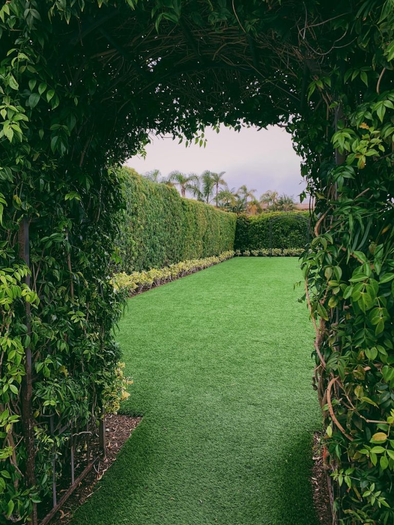 pelouse naturelle : installation et entretien pour un jardin verdoyant