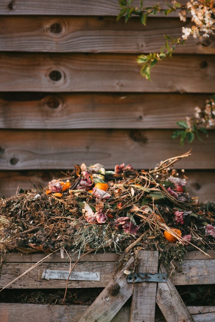 compost jardin : guide pour un engrais naturel et efficace